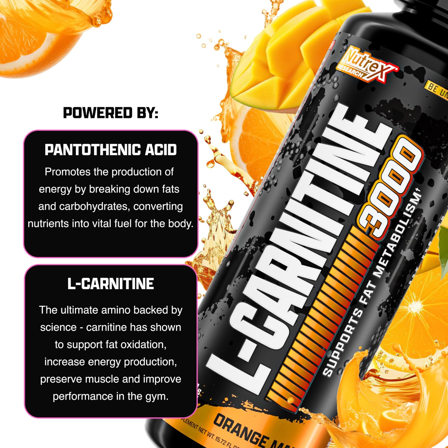 Nutrex Research L Carnitine 3000 - Clinically Dosed L-Carnitine Liquid for Energy, Metabolism & Muscle Recovery - Delicious Strawberry Watermelon - No Sugar, No Carbs, No Stimulants - 31 Servings