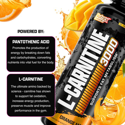 Nutrex Research L Carnitine 3000 - Clinically Dosed L-Carnitine Liquid for Energy, Metabolism & Muscle Recovery - Delicious Strawberry Watermelon - No Sugar, No Carbs, No Stimulants - 31 Servings