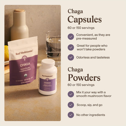 Real Mushrooms Chaga Mushroom Capsules – Organic Chaga Extract Powder with Extract Powder for Wellness & Energy Support– Vegan, Non-GMO, 120 Capsules – Organic Mushroom Supplement
