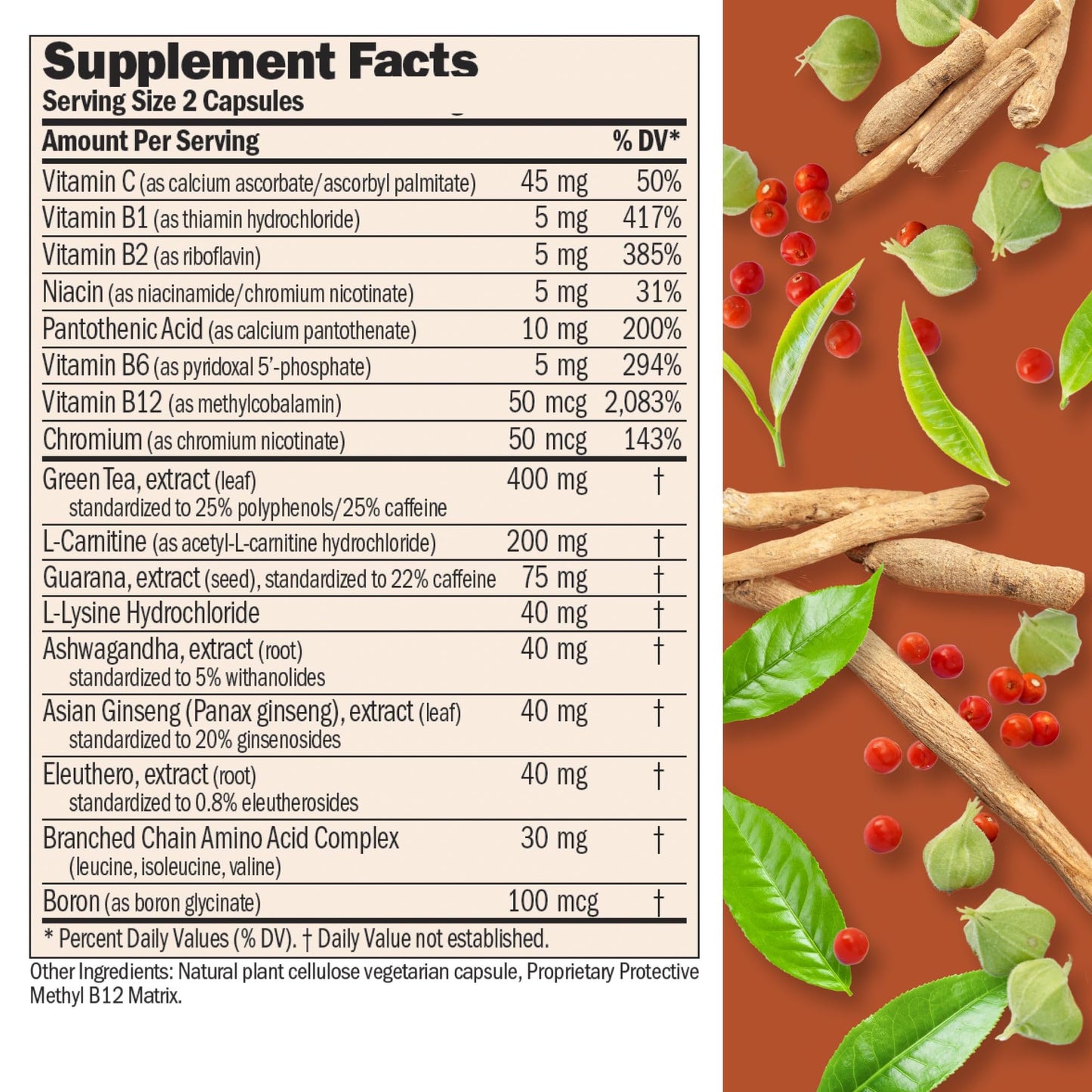 ANDREW LESSMAN Energy and Fat Metabolism Factors 60 Capsules - Promotes Optimum Fat Burning and Energy Metabolism, with Carnitine, Green Tea, Guarana, Ginseng, B-Complex. Easy to Swallow Capsules