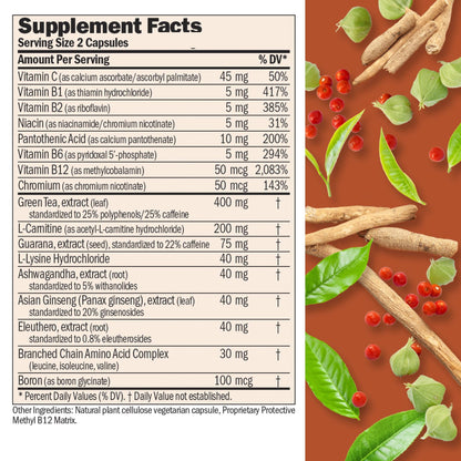 ANDREW LESSMAN Energy and Fat Metabolism Factors 60 Capsules - Promotes Optimum Fat Burning and Energy Metabolism, with Carnitine, Green Tea, Guarana, Ginseng, B-Complex. Easy to Swallow Capsules