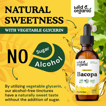 Wild & Organic Bacopa Monnieri Supplement - Brain & Focus Support - Bacopa Extract Liquid Drops - Brahmi Herb Tincture to Add to Tea - 5-Month Supply - Vegan, Sugar & Alcohol-Free - 4 fl oz