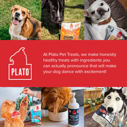 PLATO Pet Treats Small Bites - Air-Dried Training Treats for Dogs - Supports Healthy Digestion - Limited Ingredients - Organic Chicken 6oz - 2 Pack