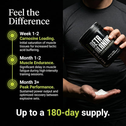 NutraBio Beta Alanine Pre-Workout Supplement - Beta Alanine Powder- 360g Powder