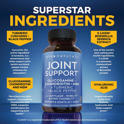 Viva Naturals Glucosamine Chondroitin MSM Joint Support Supplement, 90 Capsules - with Turmeric, Black Pepper, Boswellia and Hyaluronic Acid - Joint Health Supplement for Mobility and Flexibility