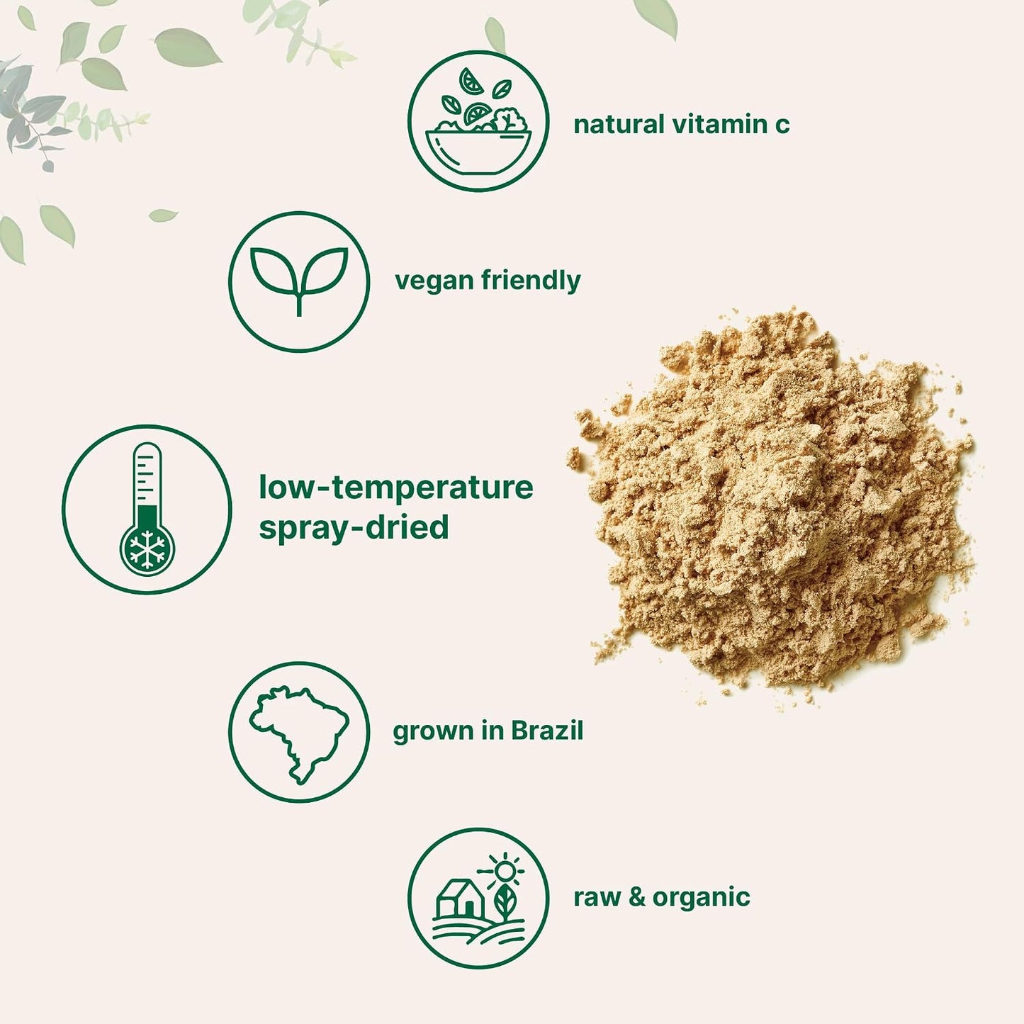 Organic Acerola Powder, 8oz | Natural Organic Vitamin C Superfood | No Sugar & Additives | Great Flavor for Drinks, Smoothie, & Beverages | Non-GMO & Vegan Friendly, Brazil Origin