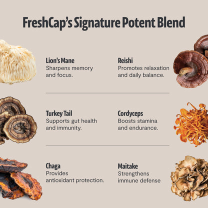 Premium Organic Mushroom Coffee – 12:1 Fruiting Body Extract – 29% Beta-Glucans – Smooth Tasting, 3rd-Party Tested for Clean Energy, No Jitters, Focus, Immune Support (15 Servings)