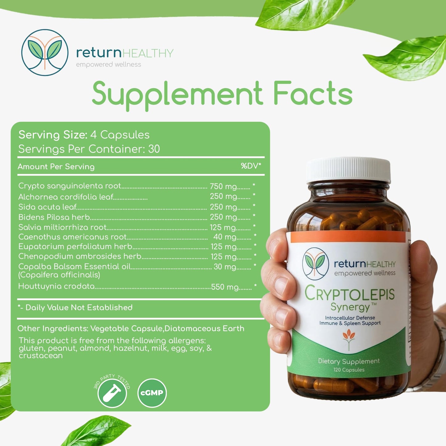 Cryptolepis Synergy, Immune Support Vitamins, Immune System Booster for Adults, Liver, Lymphatic, & Immune Support Supplement, Supports Lyme & Natural Parasite Defense, 120 Capsules