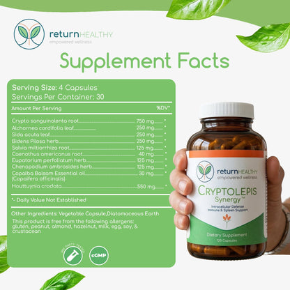Cryptolepis Synergy, Immune Support Vitamins, Immune System Booster for Adults, Liver, Lymphatic, & Immune Support Supplement, Supports Lyme & Natural Parasite Defense, 120 Capsules