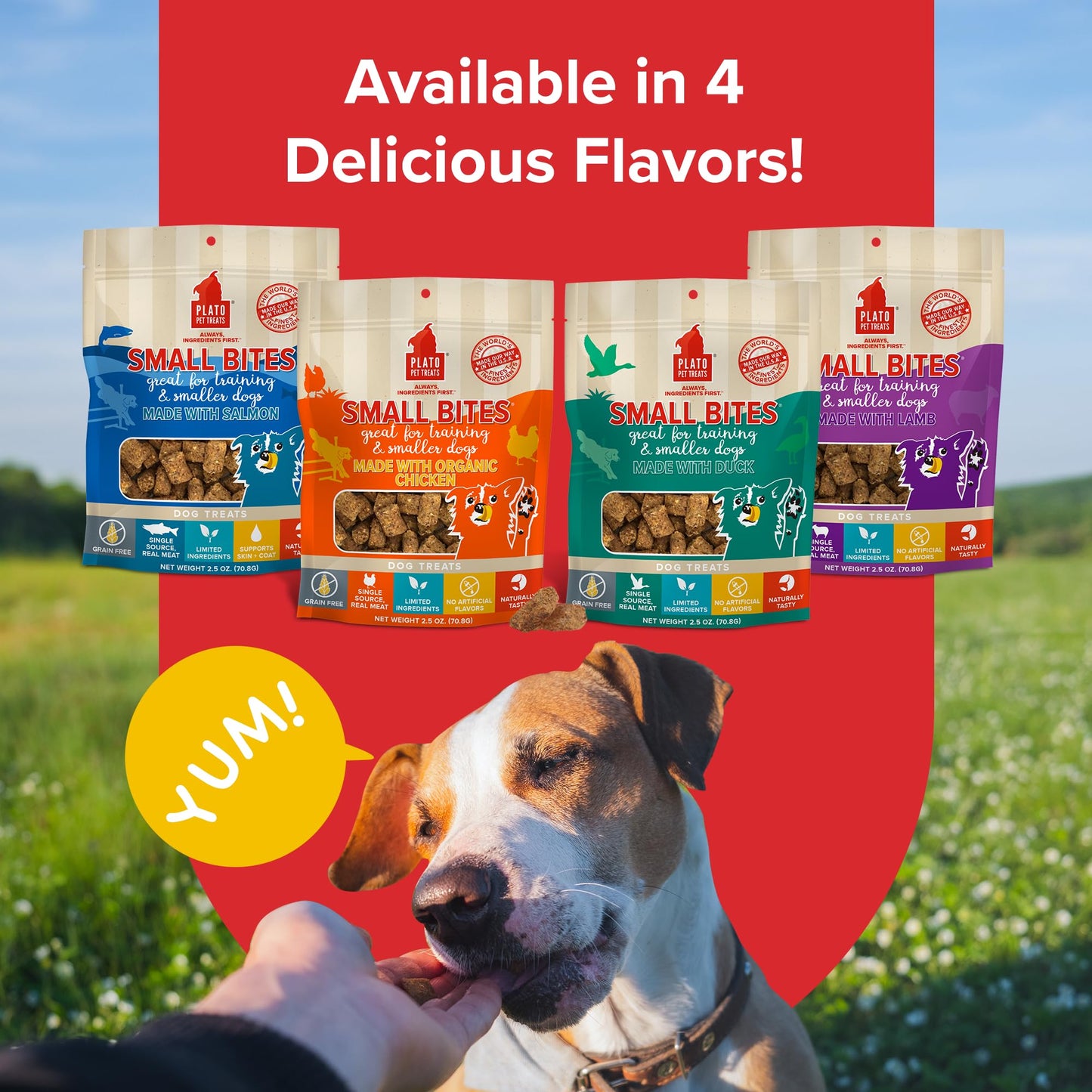 PLATO Pet Treats Small Bites - Air-Dried Training Treats for Dogs - Supports Healthy Digestion - Limited Ingredients - Organic Chicken 6oz - 2 Pack
