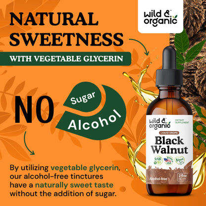 Wild & Organic Black Walnut Hull Tincture - Cleanse & Gut Support - Black Walnut Extract Supplement - Fast Absorption Liquid Drops - Add to Tea & Mix with Powder - Without Alcohol & Sugar - 4 fl oz