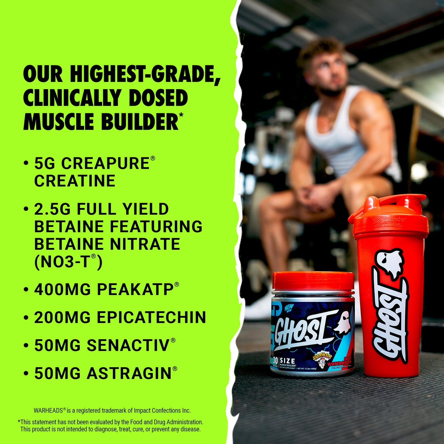GHOST Size Muscle Builder Dietary Supplement - Cherry Limeade, 30 Servings – Support Muscle Growth & Strength Building for Men & Women - Creatine & Betaine - Free of Sugar & Gluten
