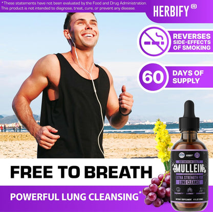 HERBIFY Bundle - Lions Mane & Mullein Grape 4 Fl Oz Drops - Supplement for Memory, Focus & Clarity & Immune Support, Lung Cleanse and Bronchial Support