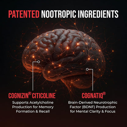 All-Natural Brain Supplement for Memory and Focus - Caffeine-Free Long-Term Cognitive Support - 10 Nootropic Ingredients Including Lion’s Mane, Bacopa, Turmeric, Ginkgo & Huperzine A - 90 Capsules