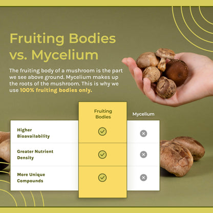 Naturealm - Reishi Capsules - Reishi Extract Restores Mind and Body - Improves Sleep