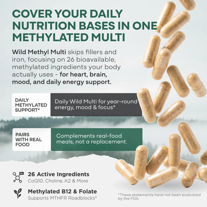 Wild Methylated Multivitamin for Women & Men | Daily Multi Vitamin | MTHFR Supplement Without Iron | Methylated B12, Folate, Vitamin C, A, K2, D, E, Choline, Biotin, ALA, CoQ10 & More (60 Capsules)