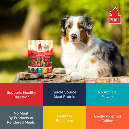 Plato Real Strips Salmon Recipe Dog Treats, Air-Dried High-Protein Soft Strips, Omega-Rich Skin & Coat Support, 18 oz