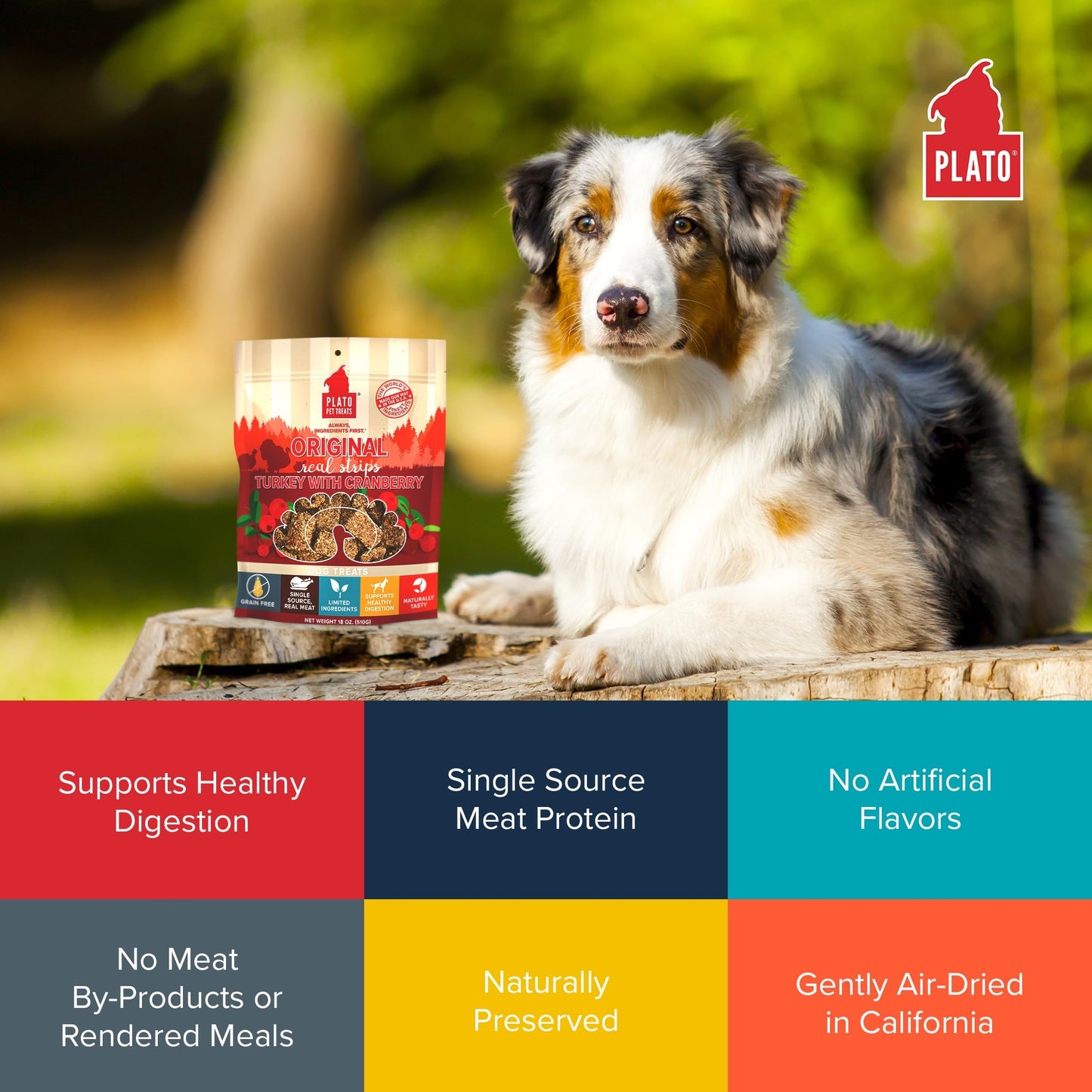Plato Real Strips Salmon Recipe Dog Treats, Air-Dried High-Protein Soft Strips, Omega-Rich Skin & Coat Support, 18 oz