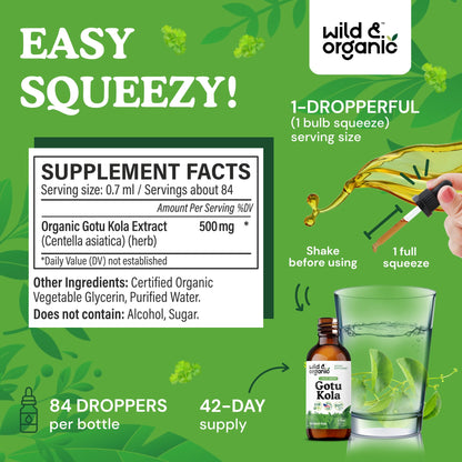 Wild & Organic Gotu Kola Extract Drops - Brain Support with Centella Asiatica Extract - Liquid Gotu Kola Supplement for Focus - Vegan, Sugar & Alcohol-Free Herb Tincture - 4 fl oz