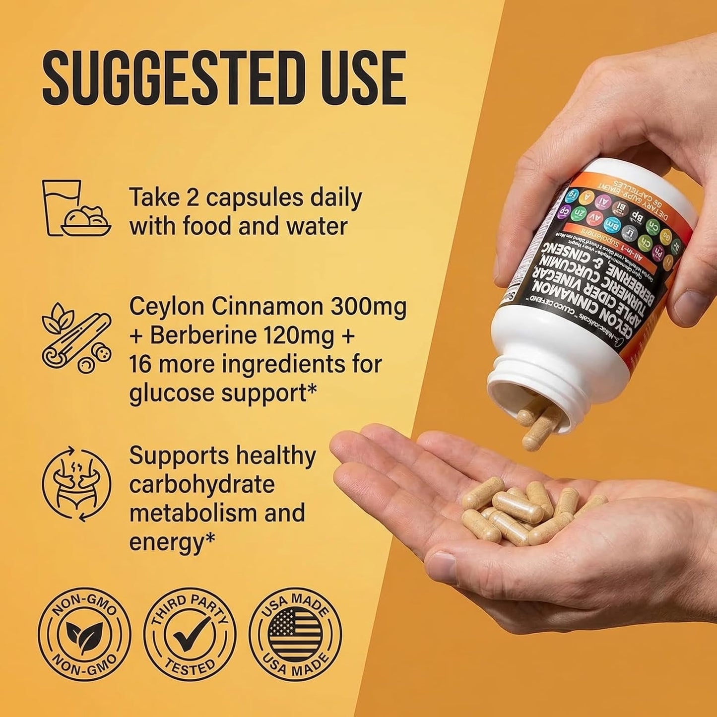 Clean Nutraceuticals Ceylon Cinnamon Capsules + Berberine Turmeric Apple Cider Vinegar Ginseng Bitter Melon (Karela) Gymnema Milk Thistle Fenugreek Supplement Pills Powder for Men & Women