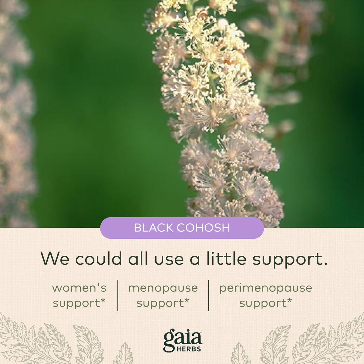 Gaia Herbs Menopause Support Daytime - Helps Maintain Hormone Balance and Well