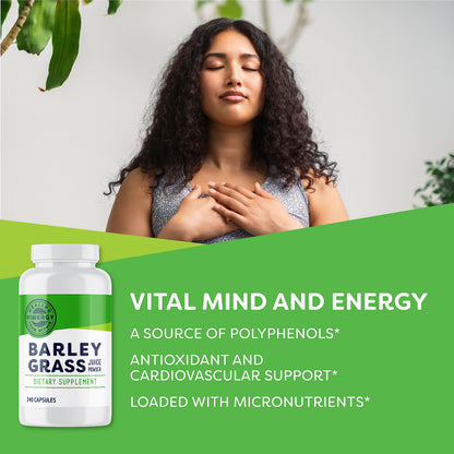 Vimergy Barley Grass Capsules, 30 Servings – Source of antioxidant - Contains Iron