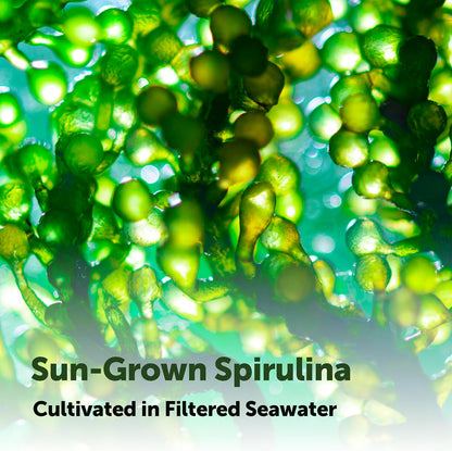 Micro Ingredients Organic Spirulina Supplement, 720 Tablets (4 Month Supply), No Filler & Non-GMO, Rich in Vegan Protein, Vitamins & Prebiotics, Premium Spirulina Pills