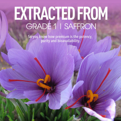 Saffron Supplements Gummies 100mg - 100% Pure Saffron Extract with Magnesium Glycinate, L-Theanine, Turmeric, Ashwagandha, Honey & Vitamin B Complex for Mood & Power, Antioxidant, Vitality - 60 Count