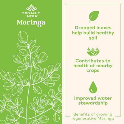 ORGANIC INDIA Moringa Herbal Supplement Powder - Green Superfood, Nutrient Dense