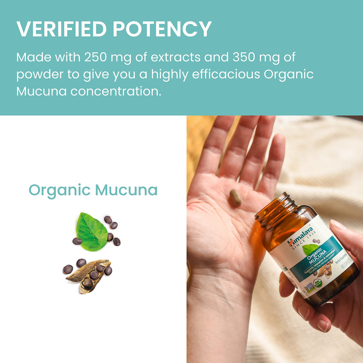 Himalaya USDA Organic Mucuna Pruriens Supplement, 600 mg, 60 Caplets
