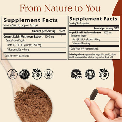Real Mushrooms Peak Performance Bundle - Lion's Mane + Reishi + Cordyceps-M Certified Organic Mushroom Powders for Vitality, Immunity & Longevity