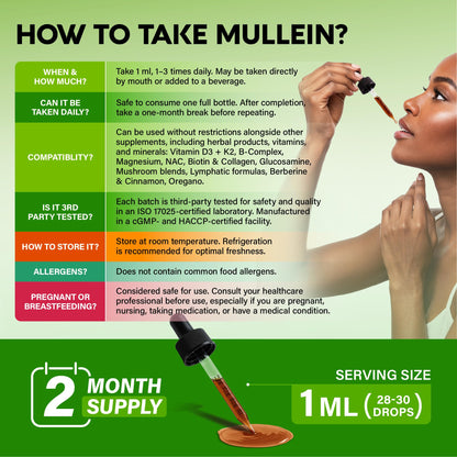 Mullein Drops for Lungs - USDA Organic Liquid - Mullein Leaf Extract Supplement - for Women & Men - Lung & Bronchial Cleanse for Smokers - Respiratory Health Support - As Tincture, Tea, Pills - 4 oz