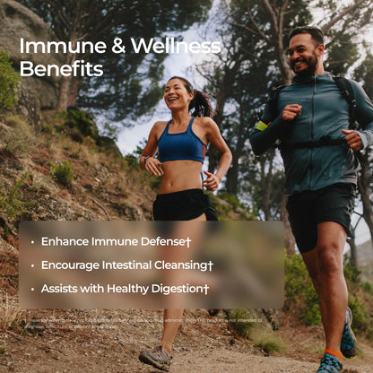 Livingood Daily Immune Support Supplement, 4-in-1 Formula with Oregano Oil, Monolaurin, L Lysine & Quercetin, Gut & Digestive Health, Gluten Free, Vegan, Non GMO, Allergen Free, 120 Capsules