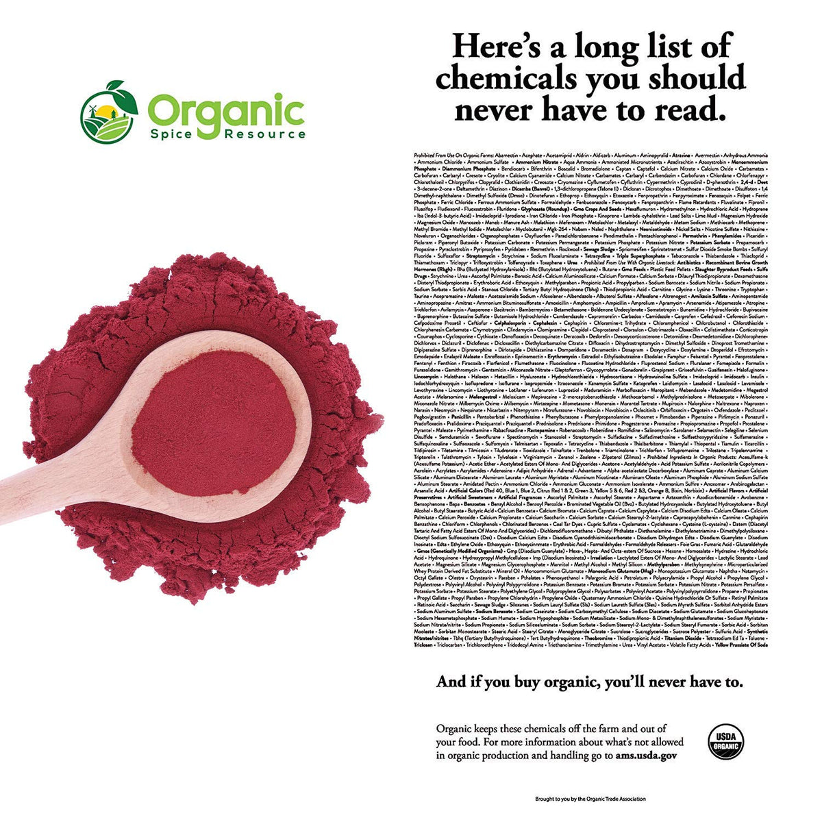 Organic Beet Root Powder | 8 oz or 226g | USDA Organic Approved, Raw and Non GMO