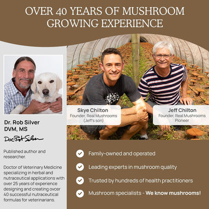 Real Mushrooms Lions Mane for Humans (120ct) and Pets (120ct) - Bundle for Cognition & Immunity - Vegan, Non-GMO, Gluten-Free, Grain-Free Mushroom Extract Supplements