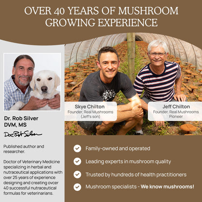 Real Mushrooms Lion’s Mane Pet Mushroom Supplement – Pet Wellbeing Capsules – for Cat & Dog Supplement & Vitamins – Support Mindful Routines – Organic, Vegan, Non-GMO, 120 Count