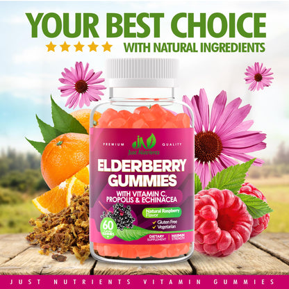 Elderberry 200mg Gummies with Vitamin C, Echinacea, Propolis (100 count) | Immune Support for Adults & Kids - Maximum Strength, Great Tasting Raspberry Flavor - Gluten-Free, Vegan