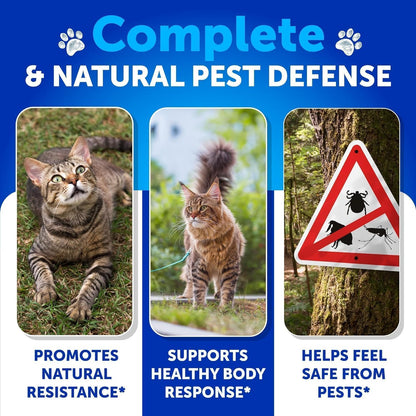 Chews for Cats - Overall Health Support