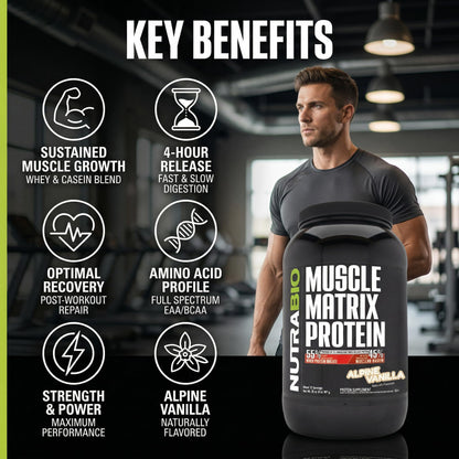 NutraBio Muscle Matrix Protein Powder - 25g of Protein Per Scoop - Whey Isolate and Micellar Casein Combo for Fast and Slow Release - Dutch Chocolate - 2 Pounds, 28 Servings