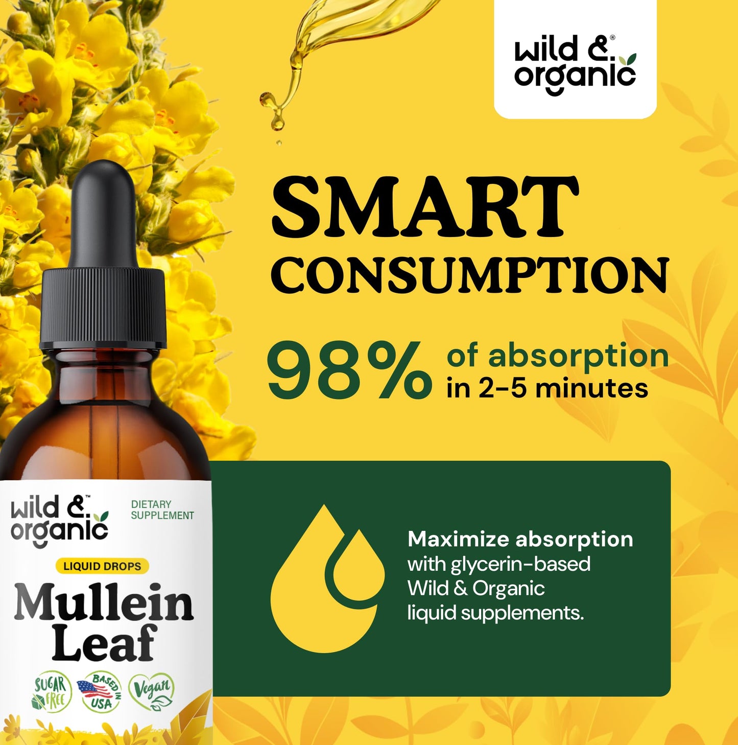 Wild & Organic Mullein Drops for Lungs - Cleanse and Detox - Liquid Mullein Leaf Extract for Lungs with Echinacea - Add to Tea - Verbascum Thapsus Tincture - Sugar & Alcohol-Free Supplement - 4 fl oz