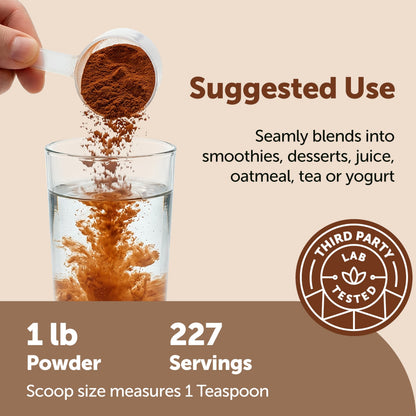 Micro Ingredients Organic Ceylon Cinnamon Powder, 8 oz | Sri Lanka Source | True Cinnamon for Spice & Seasoning | Great for Baking, Cooking, & Drinks | Additive Free, Non-GMO