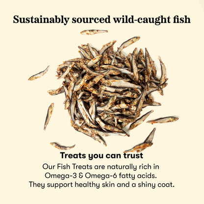Plato Pet Treats Fish Dog Treats - Air-Dried, Single Ingredient Pet Treat - Omega 3 & 6 Fatty Acids to Support Skin and Coat - 100% Whole Fish - Wild Caught Baltic Sprat - 3 oz - 2 Pack