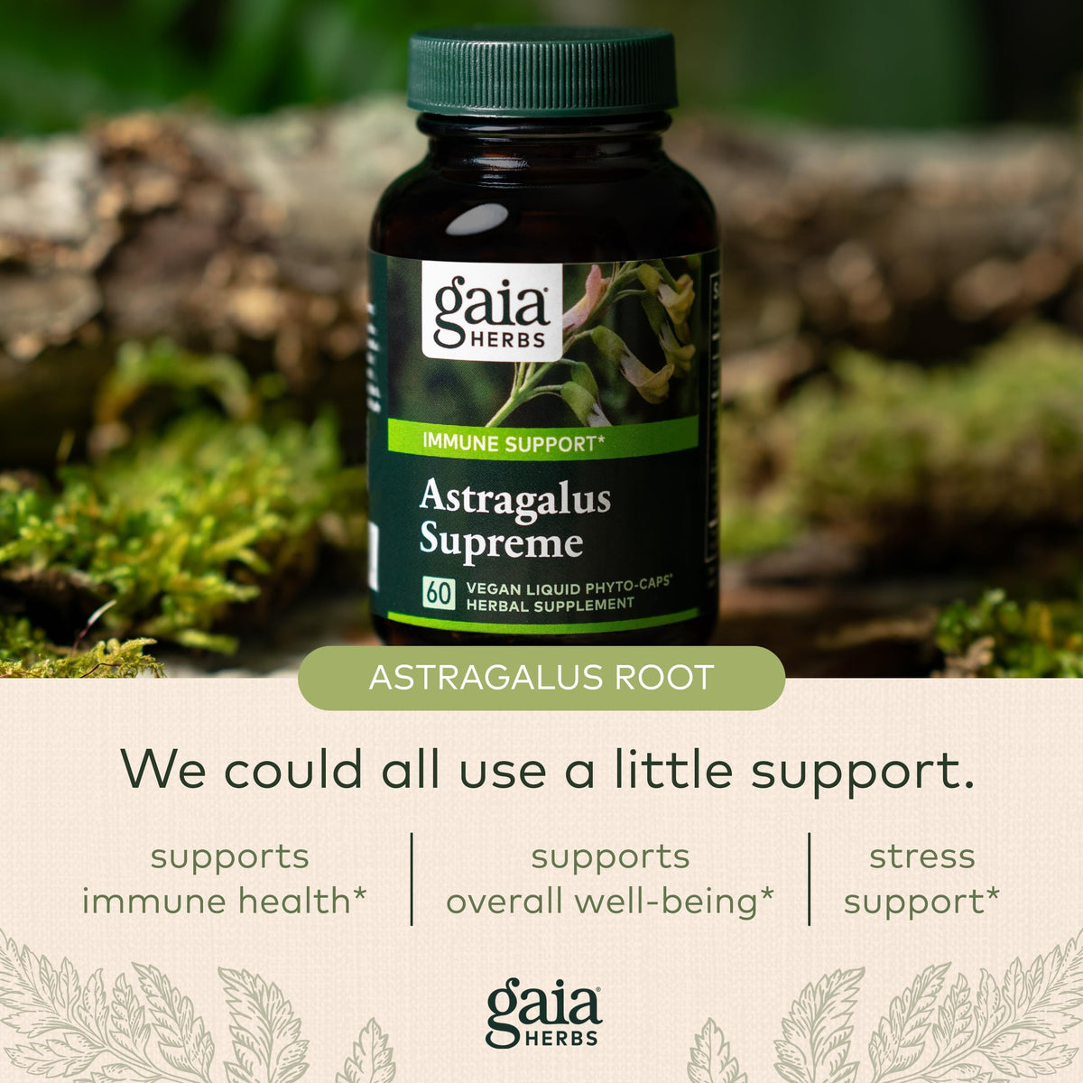 Gaia Herbs Astragalus Supreme - Immune and Antioxidant Support Herbal Supplement