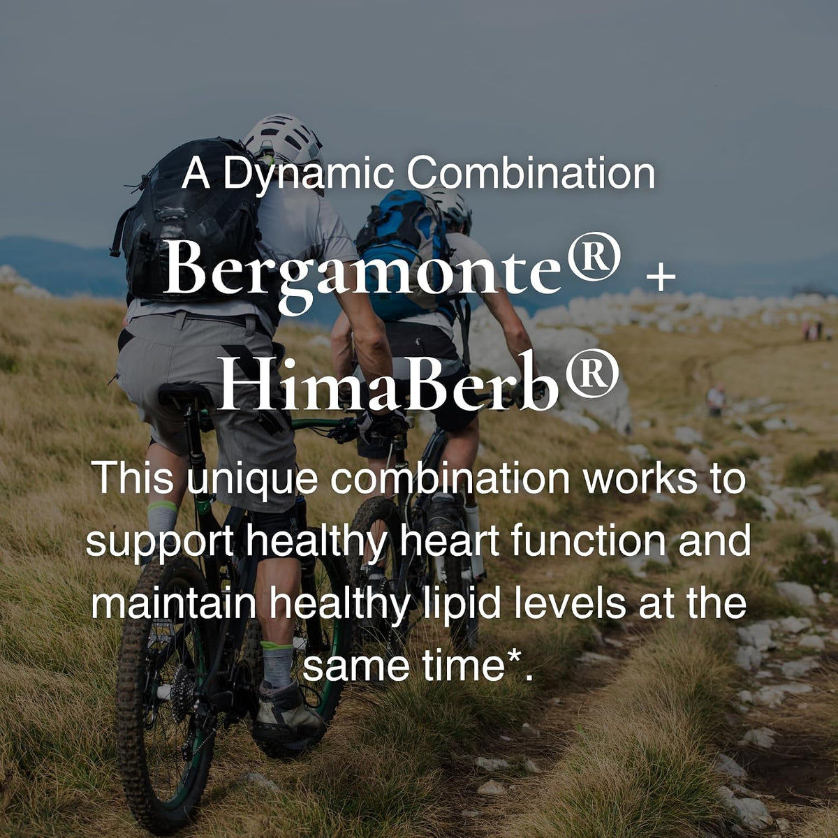 Utzy Naturals Berbercol | 500mg Citrus Bergamot & Berberine | 60 Caps