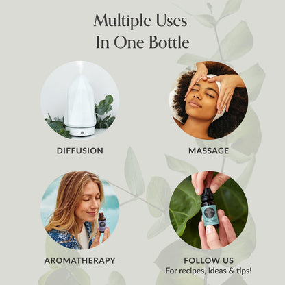 Edens Garden Digest Ease Essential Oil Synergy Blend, 100% Pure Therapeutic Grade