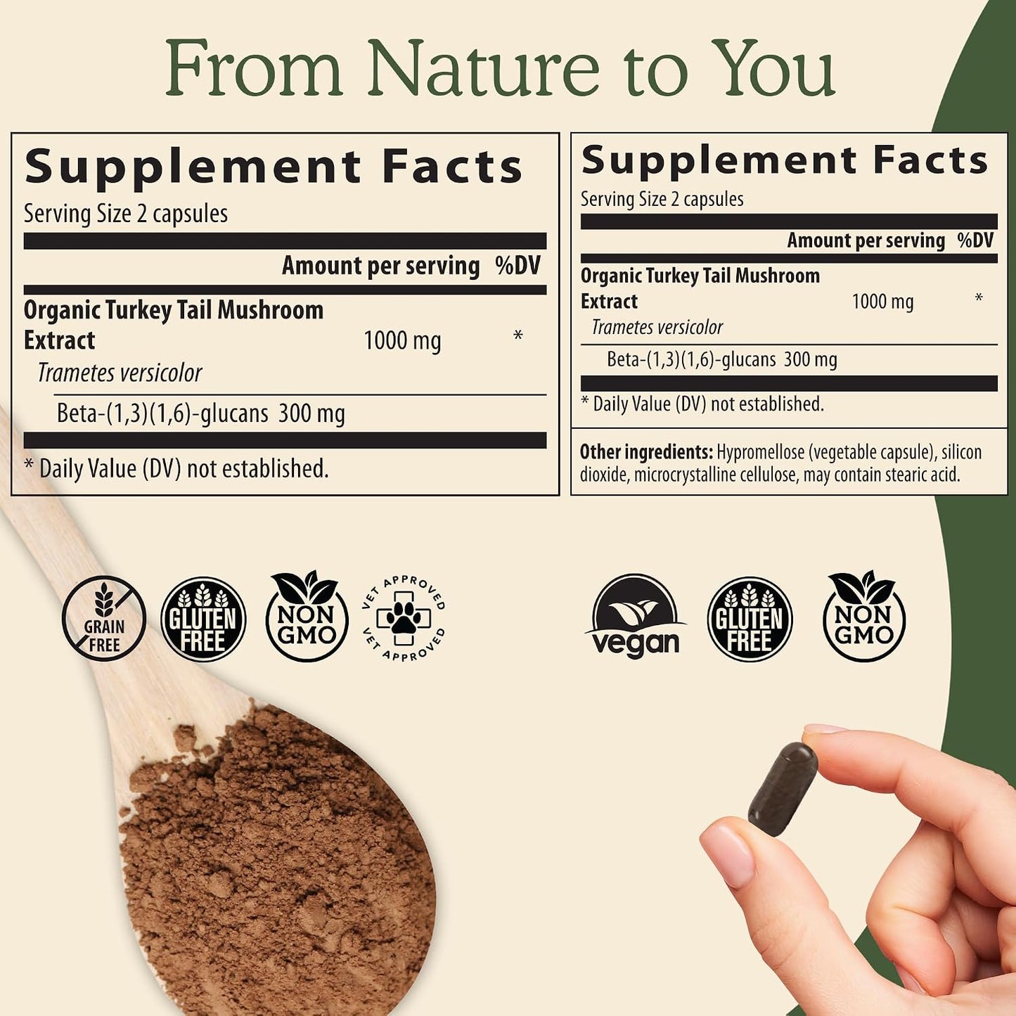 Reishi 415 Longevity Capsules (90ct), Turkey Tail Mushroom Extract Immune Support (90ct), Chaga Extract Mushroom Supplement (120 caps)