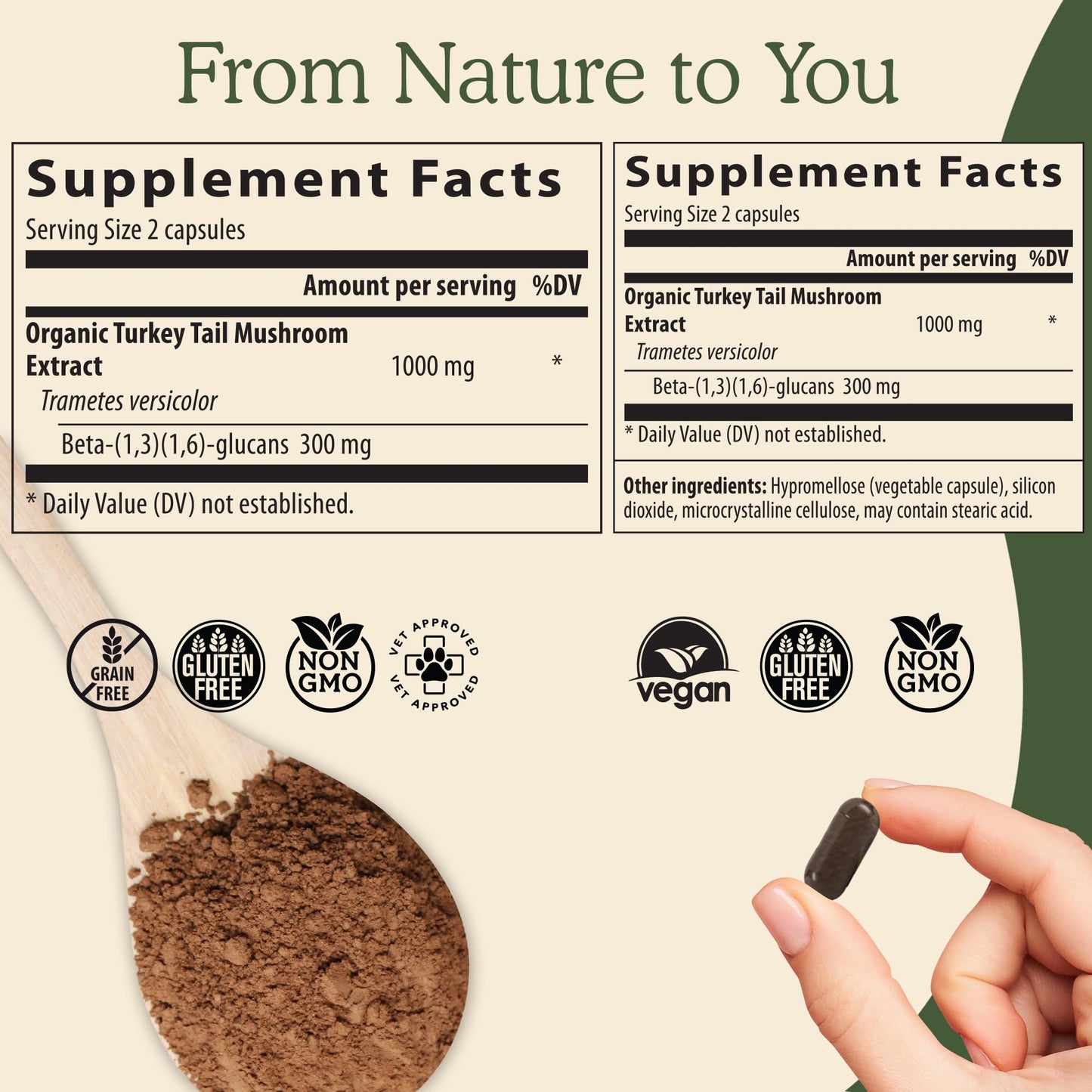 Real Mushrooms Turkey Tail Mushroom Powder – Organic Mushroom Extract for Daily Wellness Gut Harmony, & Energy Support with Beta Glucans – Vegan, Non-GMO, 45 Servings Functional Supplement