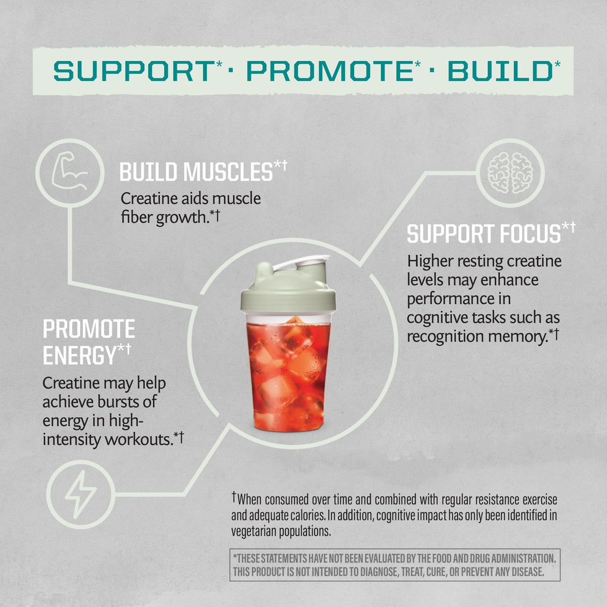 Sunwarrior Classic Plus Chocolate Protein Powder 30 Servings & Creatine Monohydrate