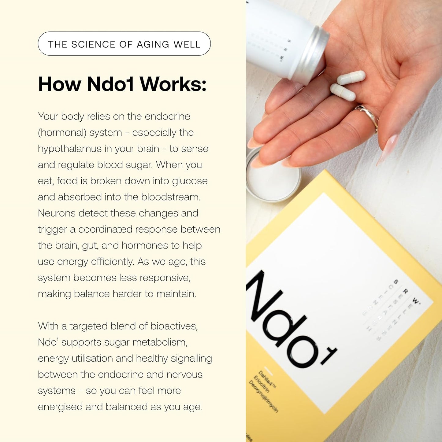Ndo¹ Equilibrium | Blood Sugar Support Supplement | Glucose Metabolism, Hormone Balance & Healthy Aging | Breaks Down Carbohydrates Effectively | 60 Vege Capsules