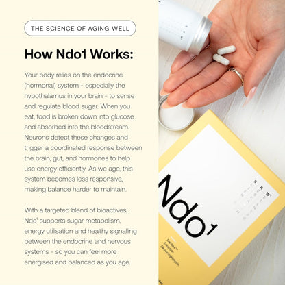 Ndo¹ Equilibrium | Blood Sugar Support Supplement | Glucose Metabolism, Hormone Balance & Healthy Aging | Breaks Down Carbohydrates Effectively | 60 Vege Capsules